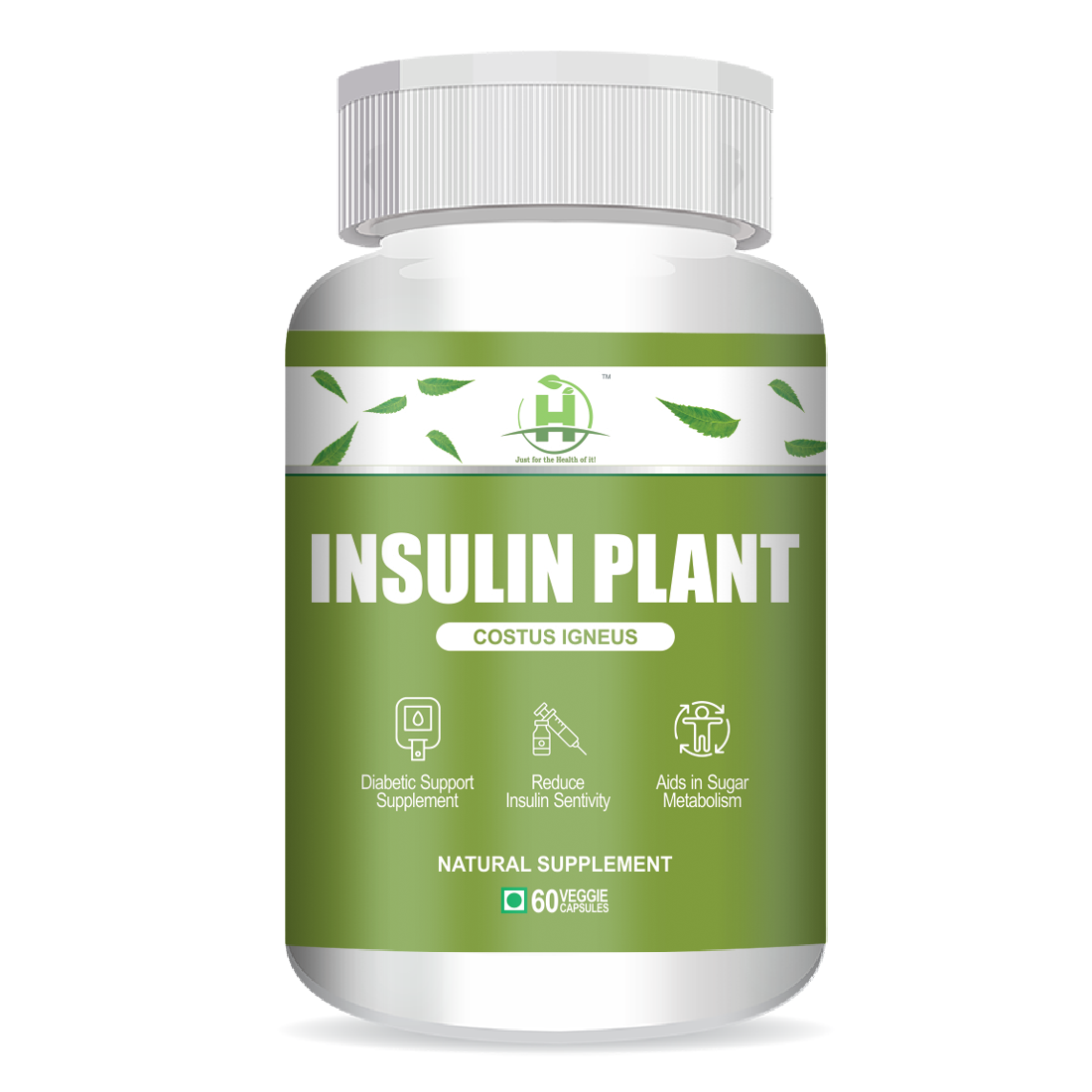 noel-ellis-google-blog-insulin-plant